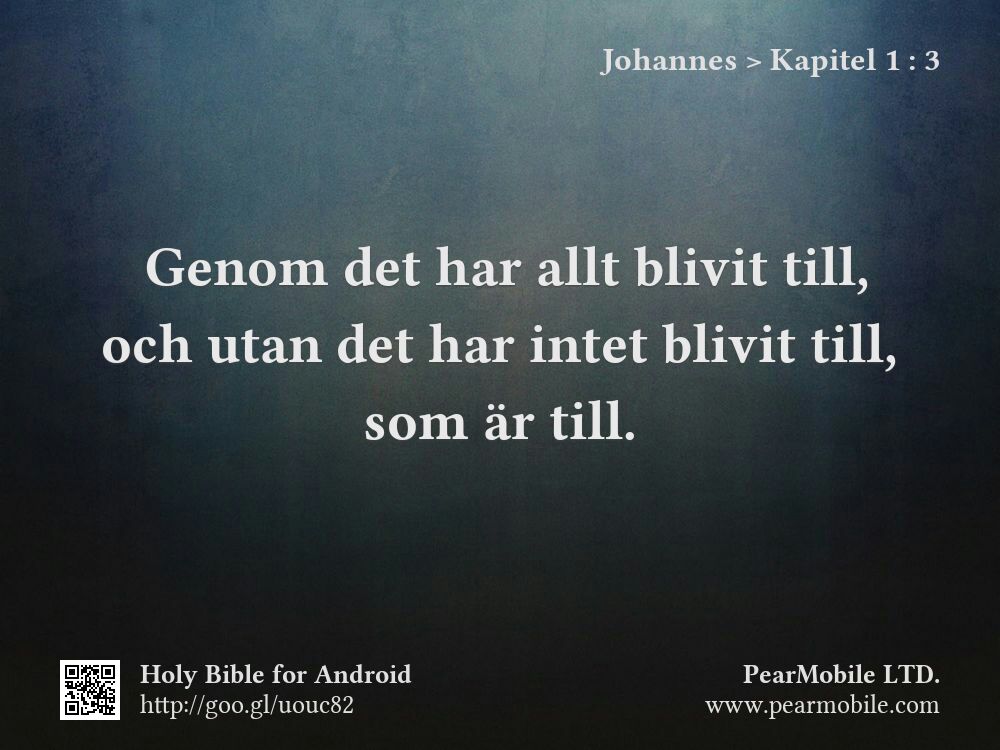 Johannes, Kapitel 1:3